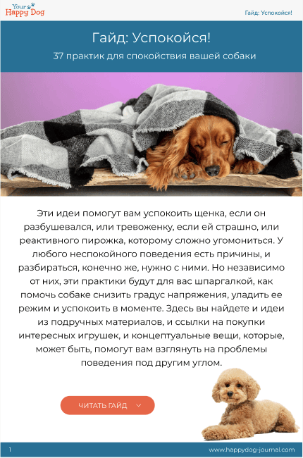 Пример страницы для десктопа из гайда "37 способов успокоить собаку"