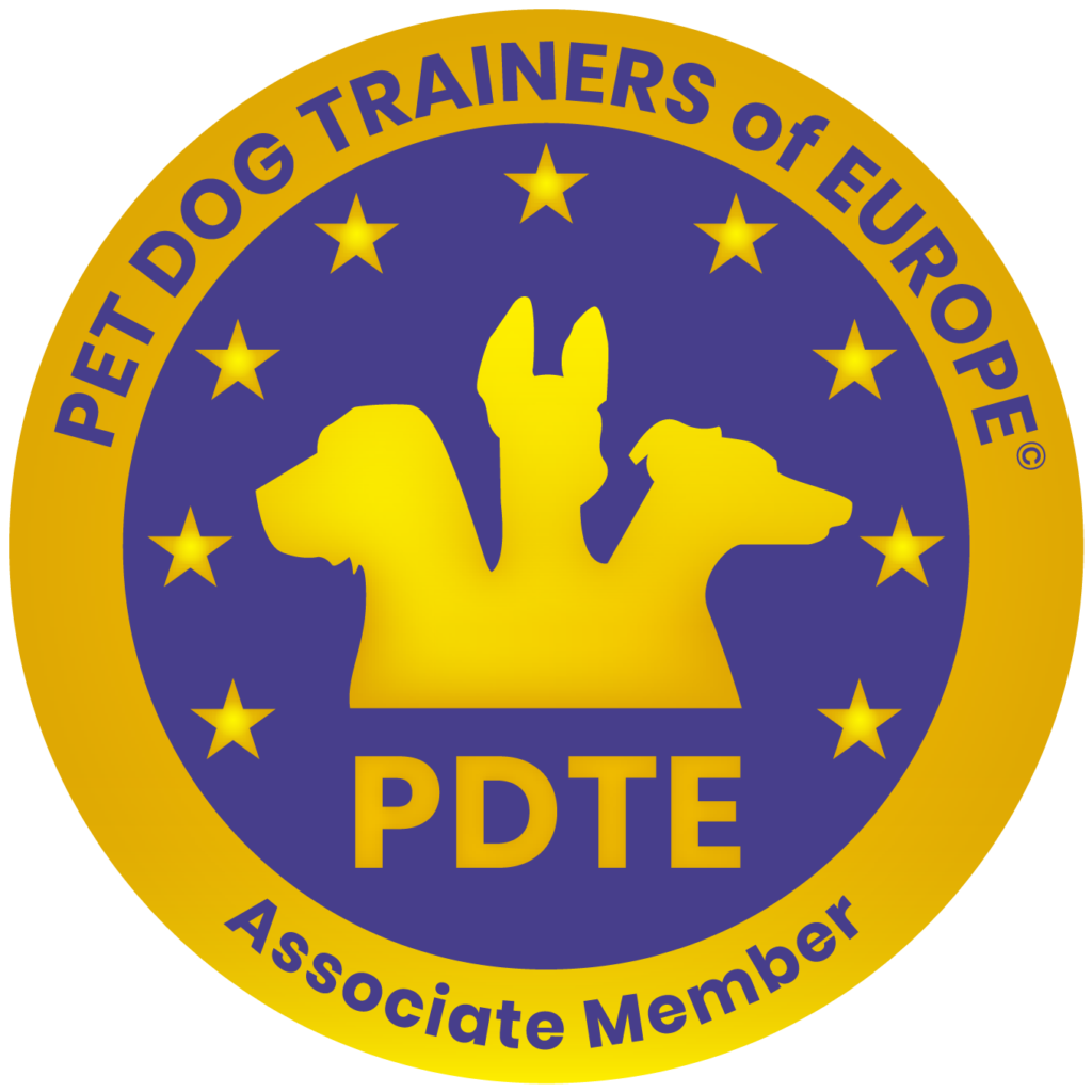 Сертификат члена Pet Dog Trainers of Europe